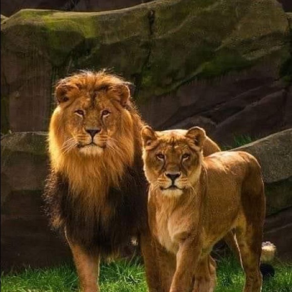 Meet your Posher, Ray - Picture 1 of 1